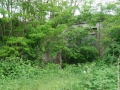 2016-05-21_book-of-eli_007