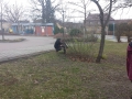 calau-018.jpg