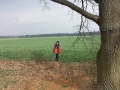 calau-051.jpg