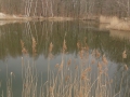 calau-075.jpeg