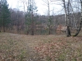 calau-087.JPG