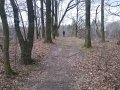 calau-089.JPG