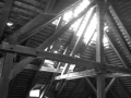 2017-05-07_voelker-stadt_100