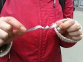 2015-05-14_berlin_028.jpg