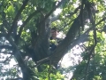 2015-08-01_lost-in-mv2_220