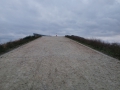 2016-03-23_grossraeschen_019