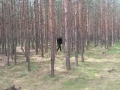 20150530_120435.jpg