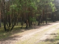 20150530_120442.jpg