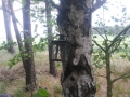 20150530_131840.jpg