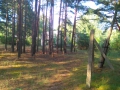 2015-07-18_russenhaeuser_005