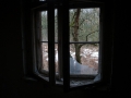 2017-02-18_wilderer_031